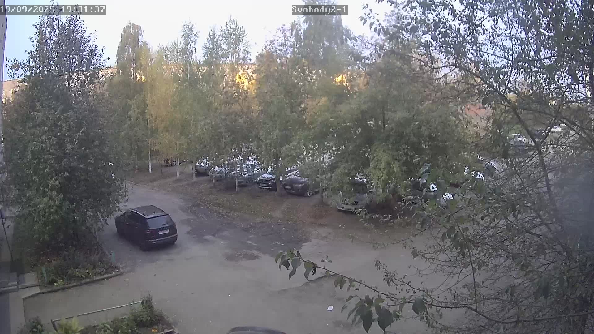 двор Свободы 2 (2 камера)