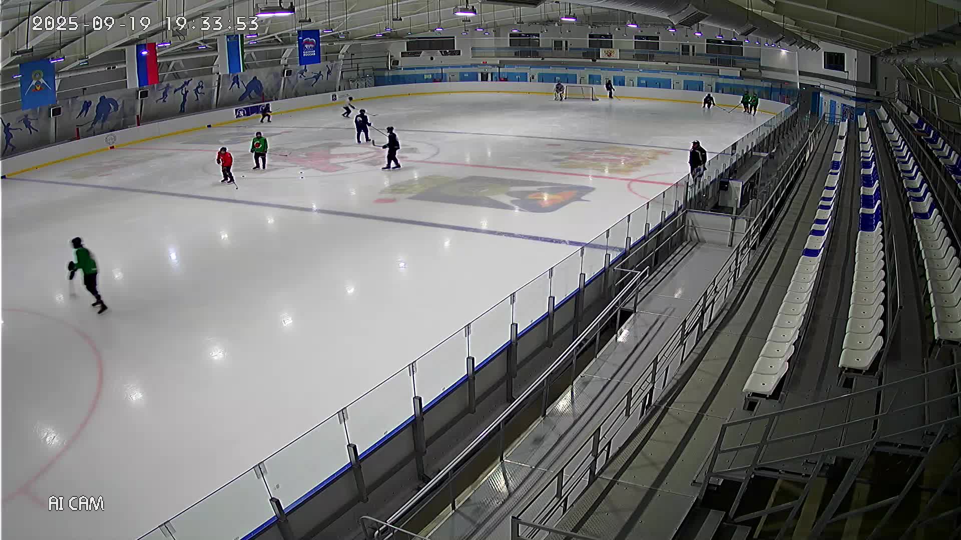 Ледовая арена (1 камера)