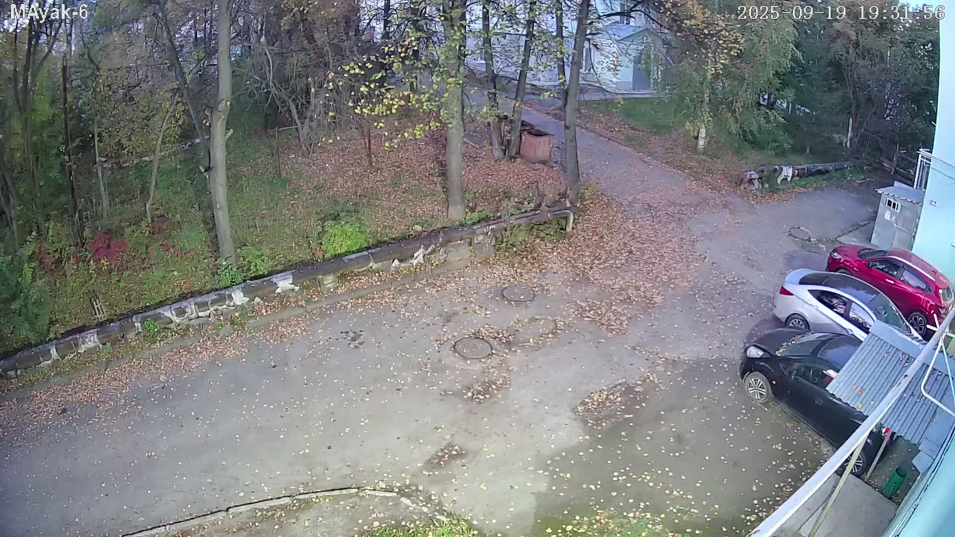 Маяковского 6